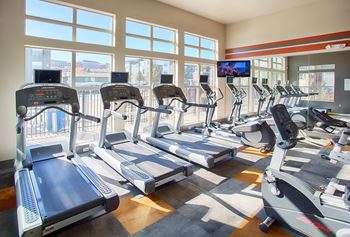 Gym equipment